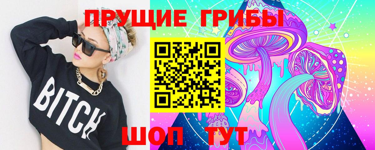 Галлюциногенные грибы Psilocybe Соль-Илецк