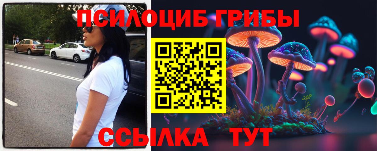 Соль-Илецк  Псилоцибиновые грибы мухоморы  Вход с VPN 