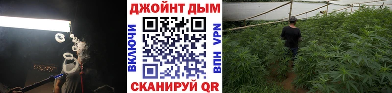 купить наркоту  Соль-Илецк  Канабис ГИДРОПОН 